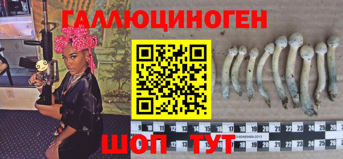 Псилоцибиновые грибы ЛСД Волхов